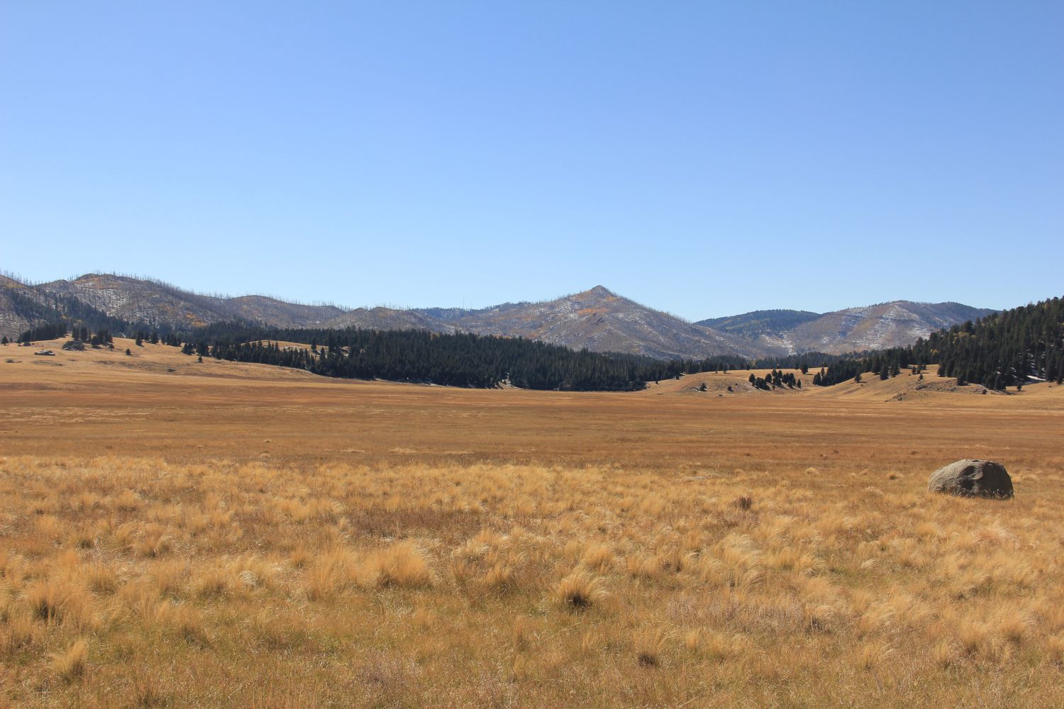 Valles Caldera National Preserve 